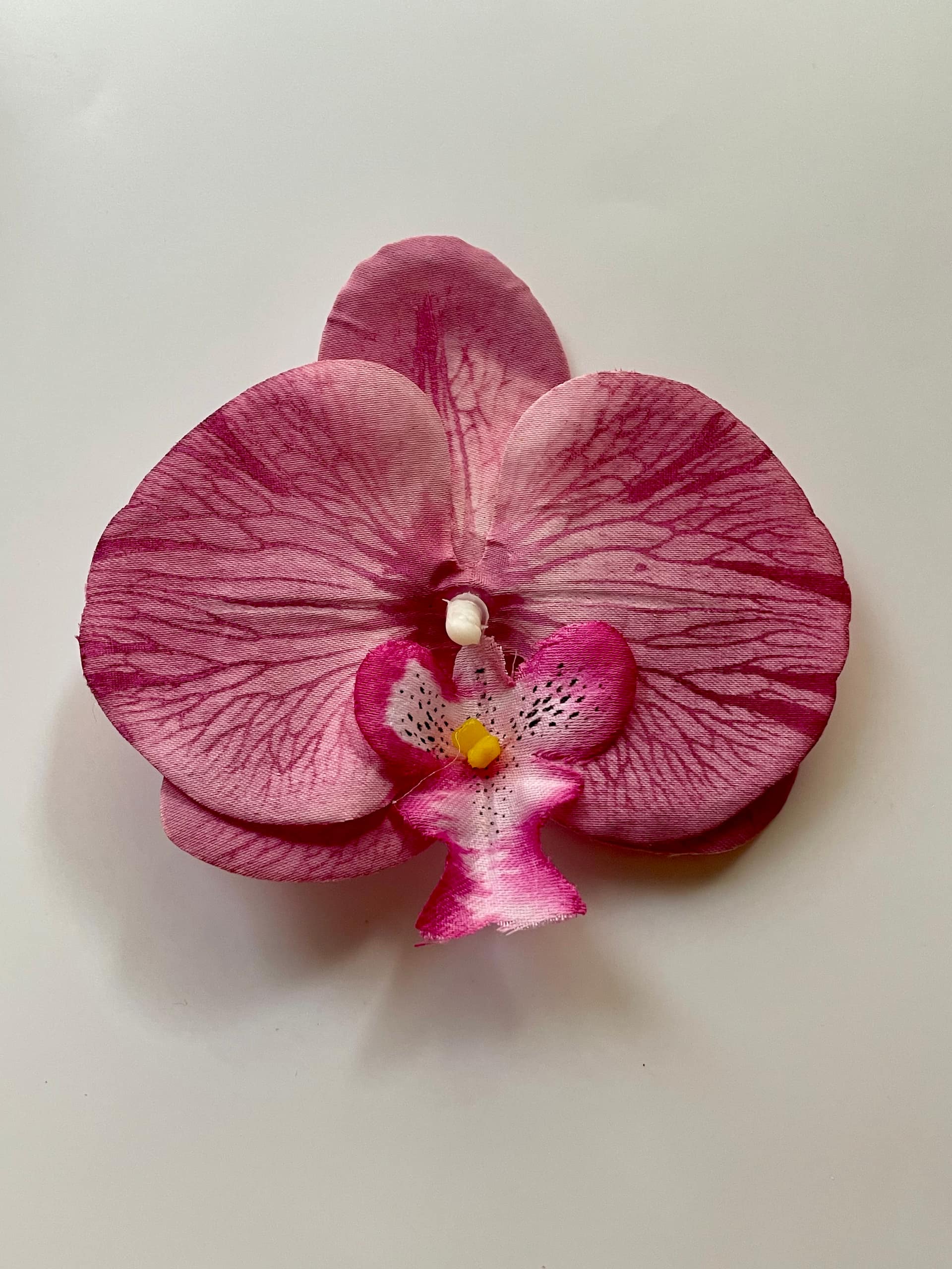 Orchid clip 2