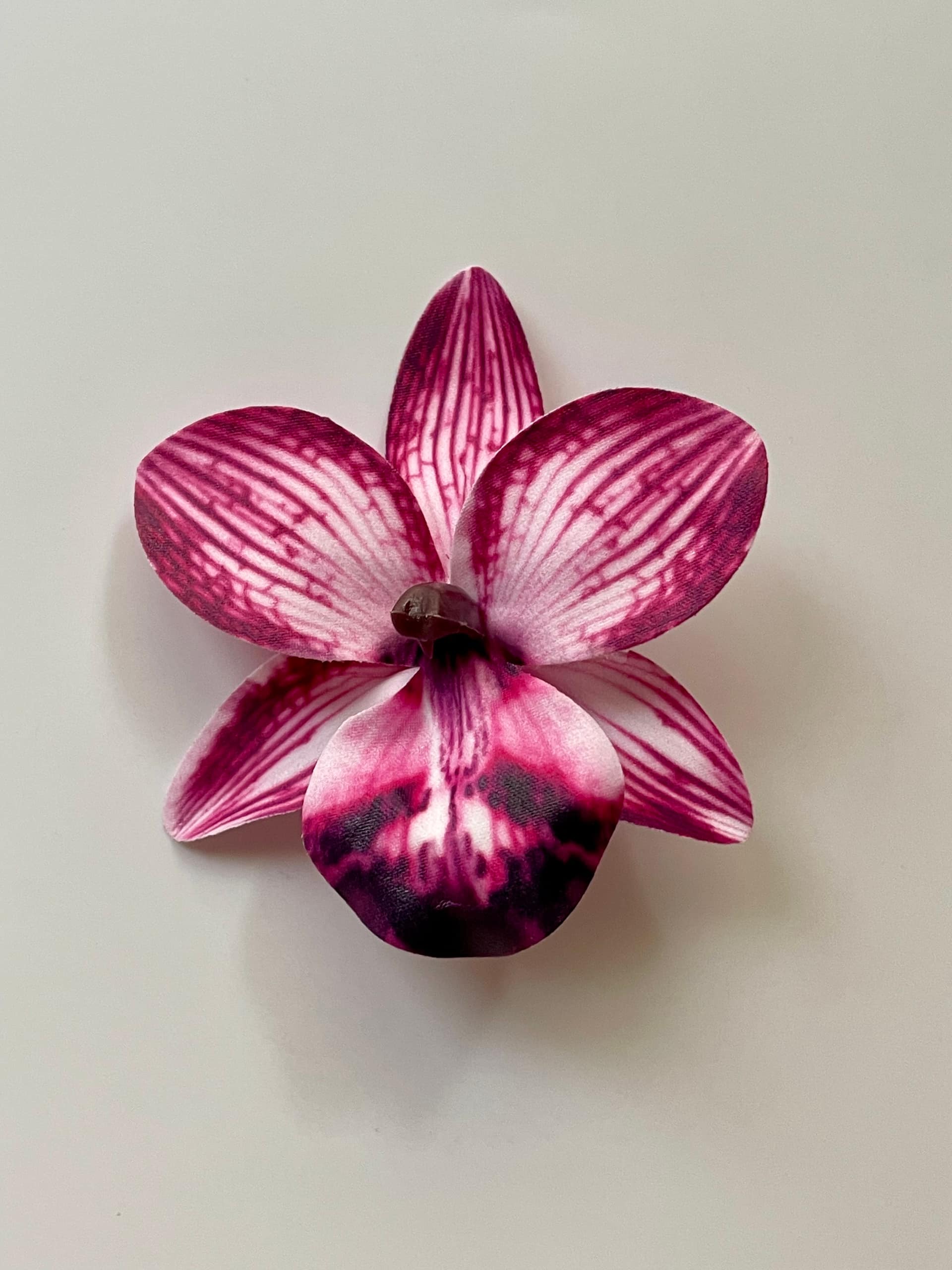 Orchid clip 3