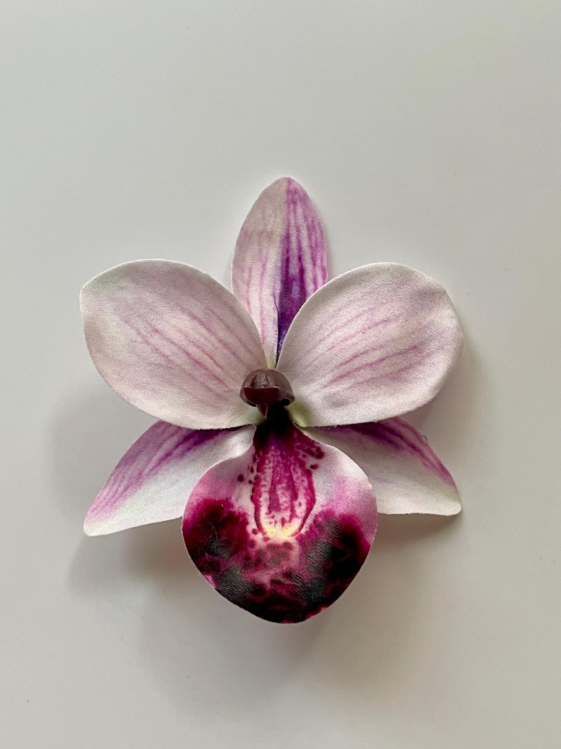 Orchid flower 4