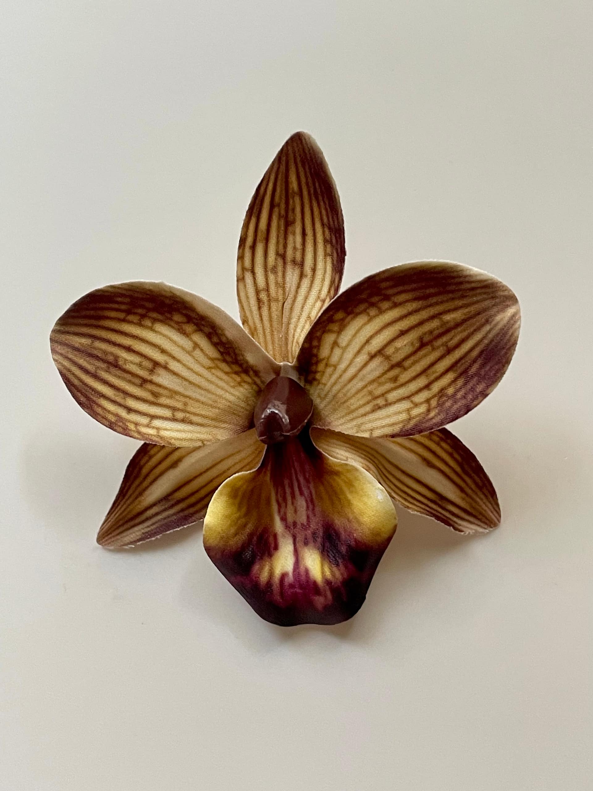 Orchid clip 5
