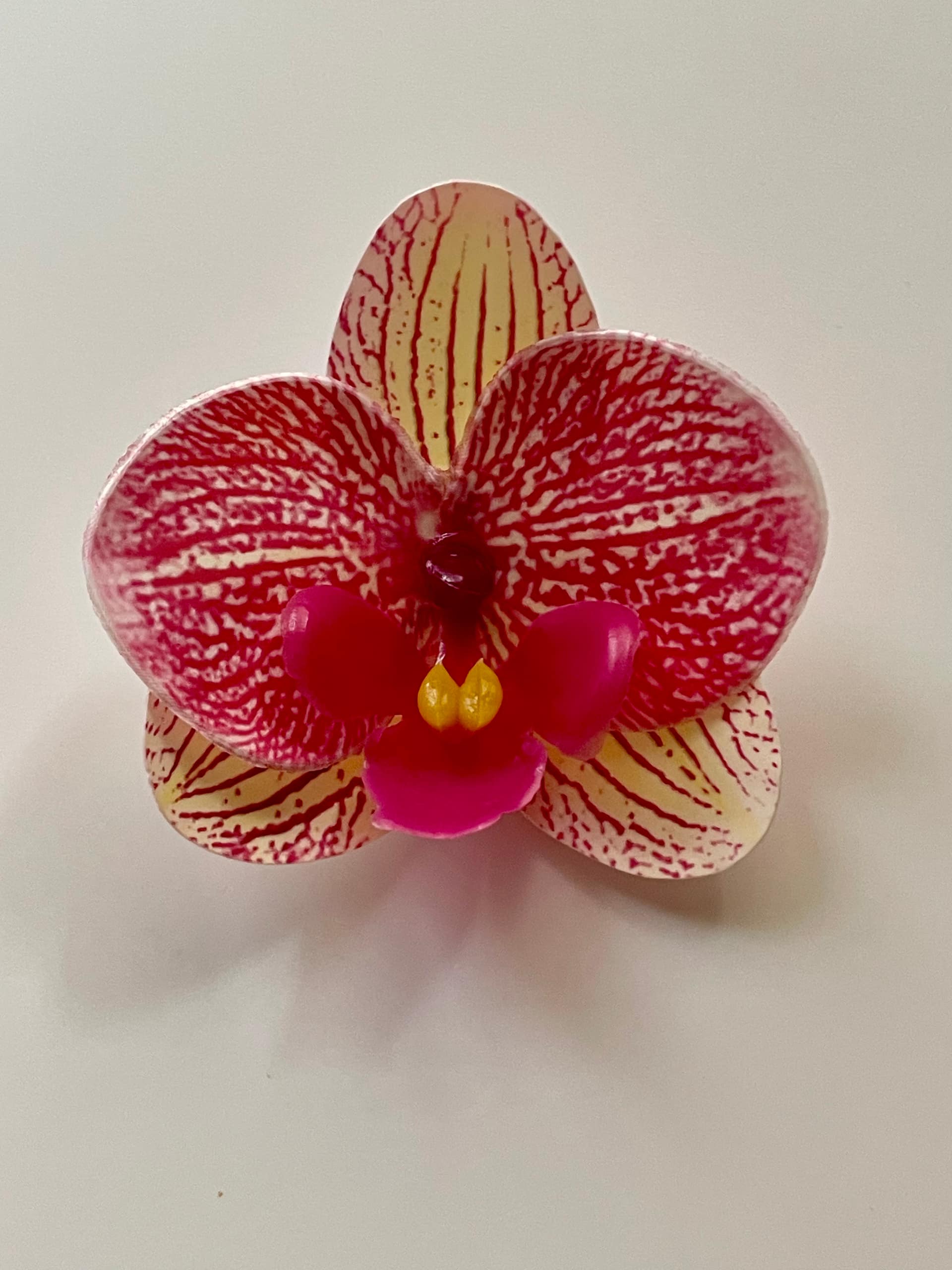 Orchid clip 6