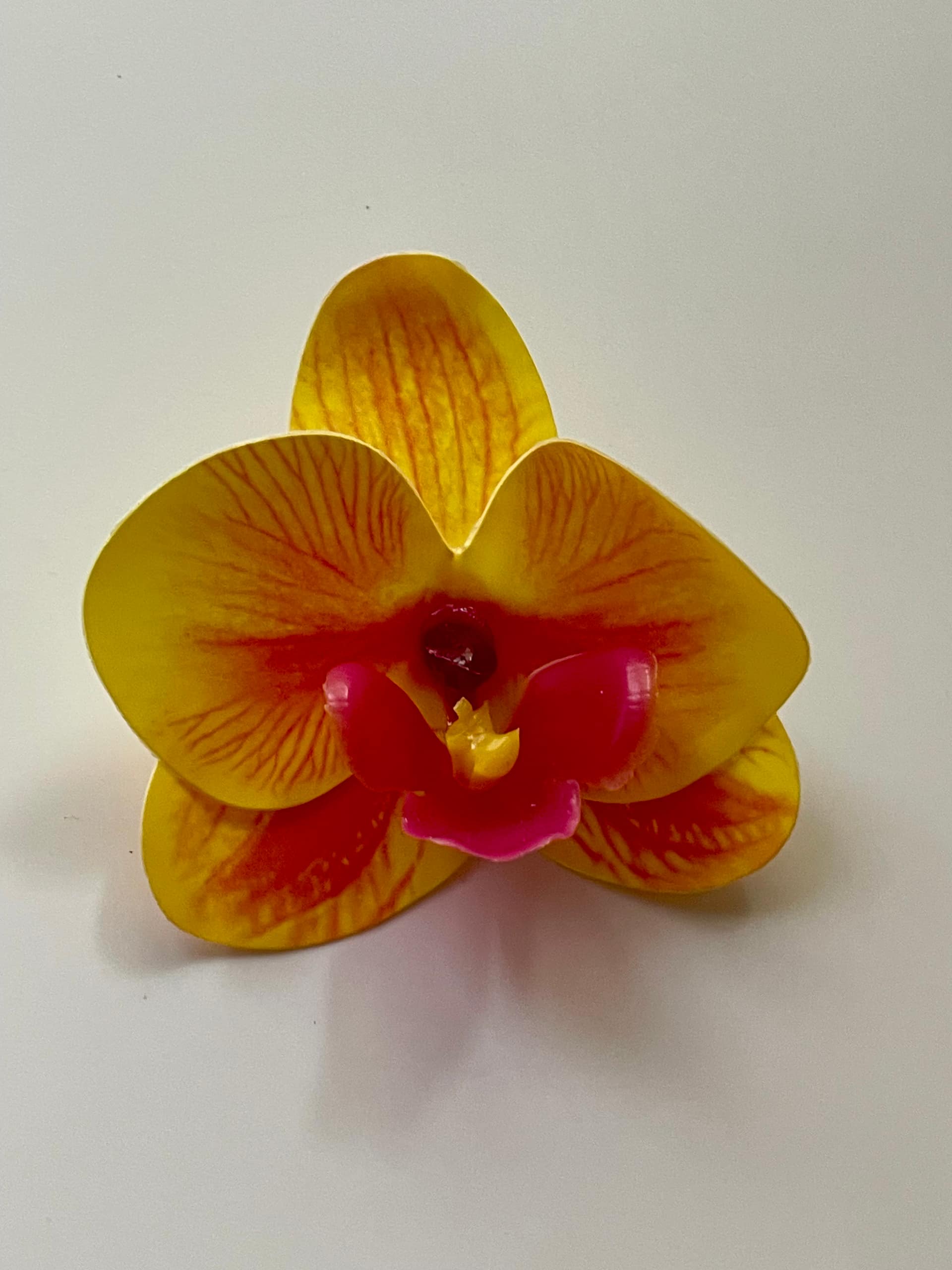 Orchid clip 7