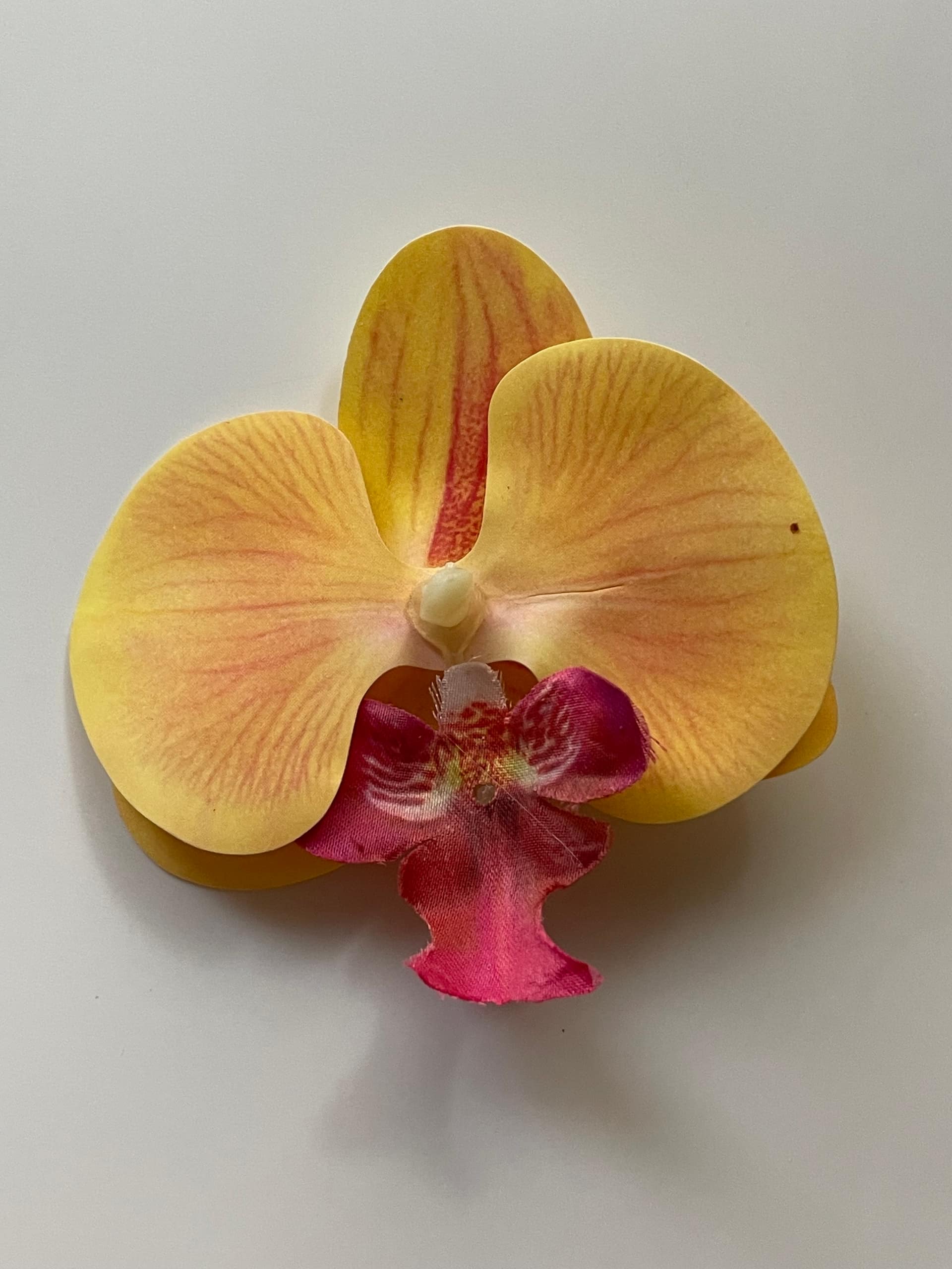 Orchid clip 8