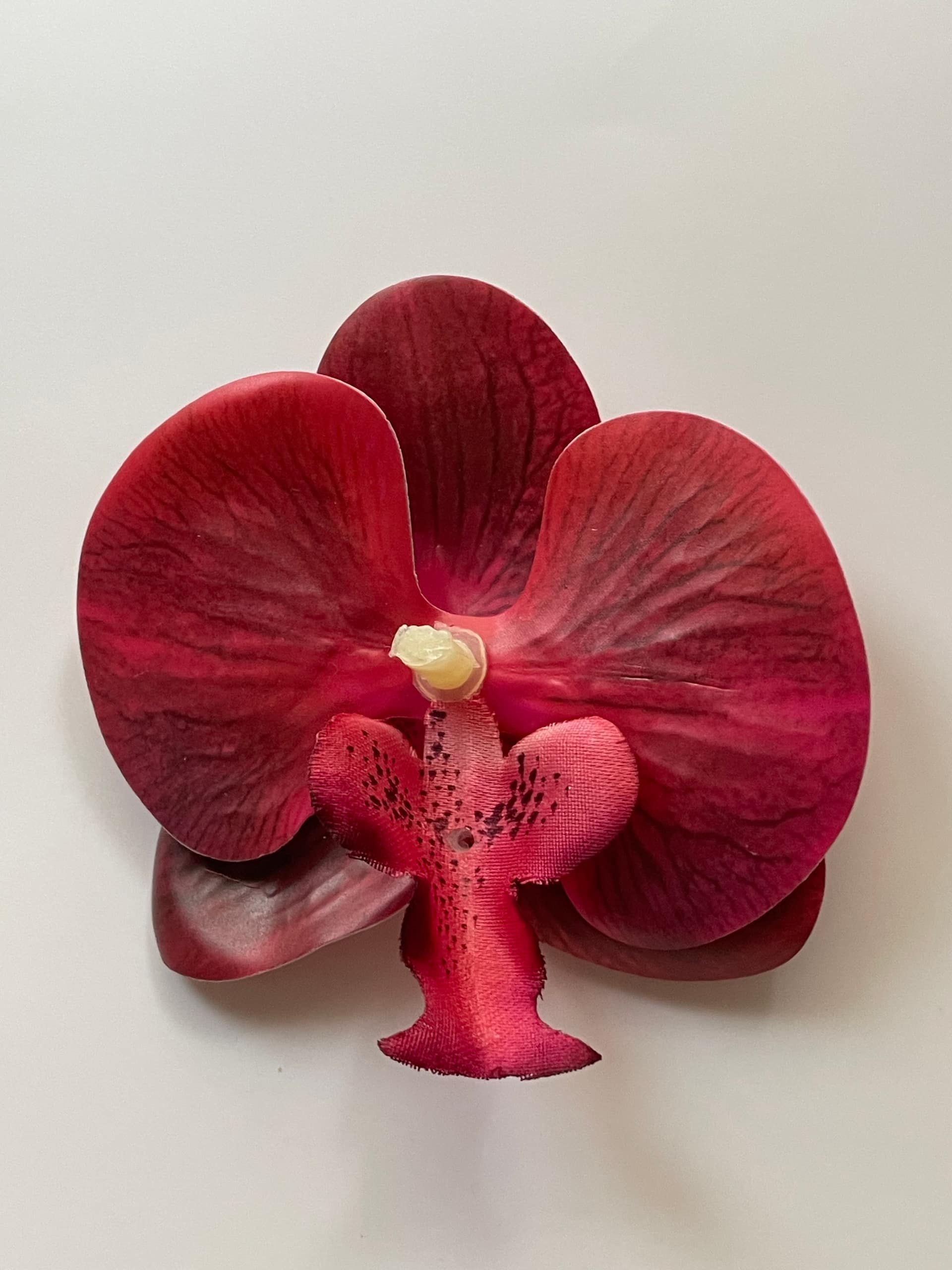 Orchid clip 9